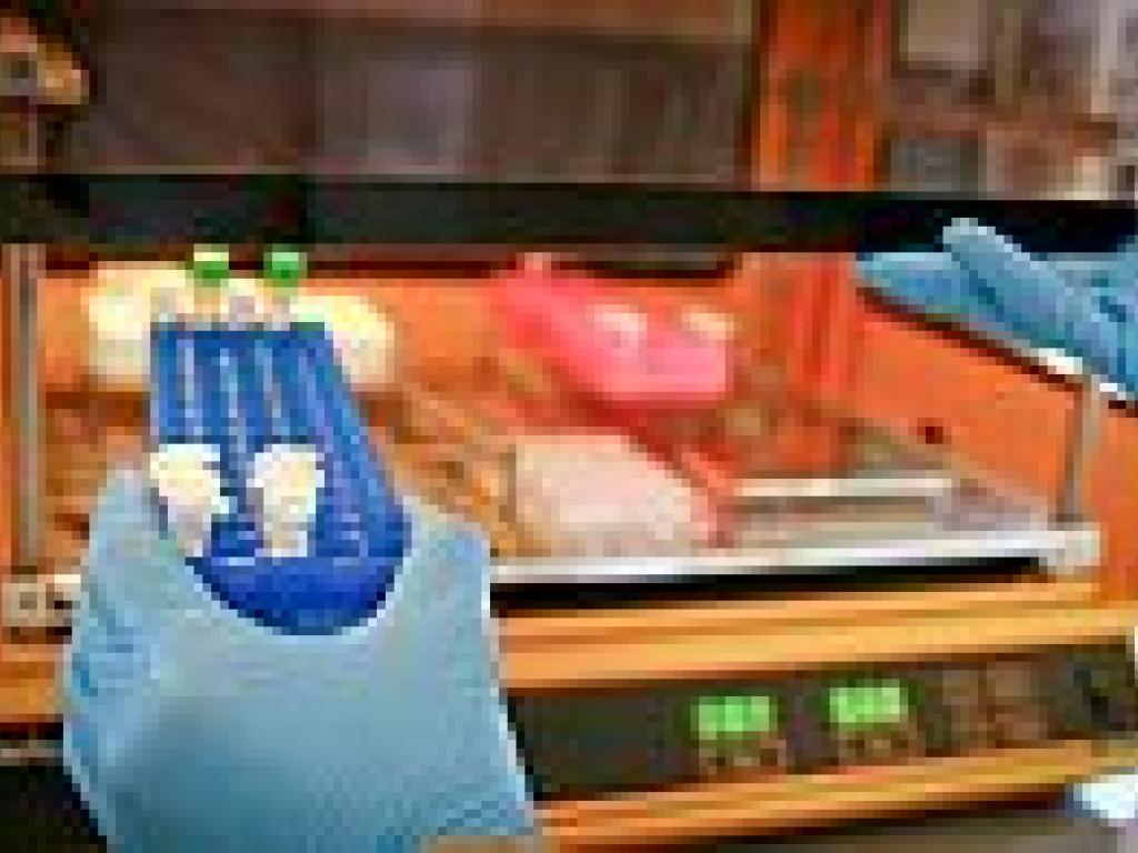 Samples in incubator